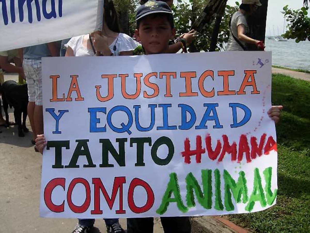 Los niños pidieron justicia para los animales al igual que para los humanos.