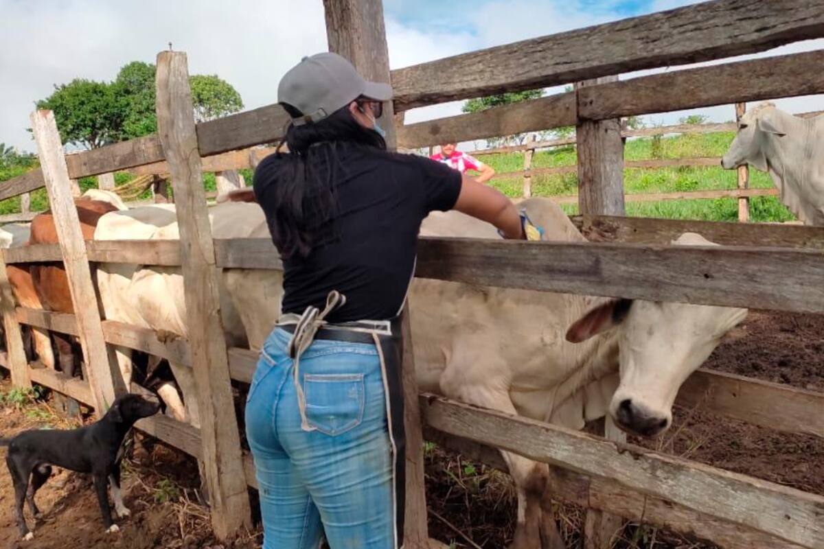 Ganaderos le siguen cumpliendo a la sanidad animal