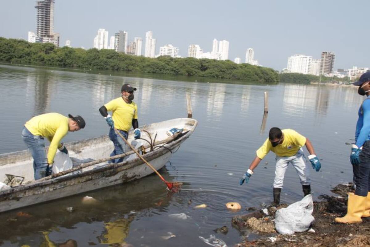 //Luis Eduardo Aparicio.