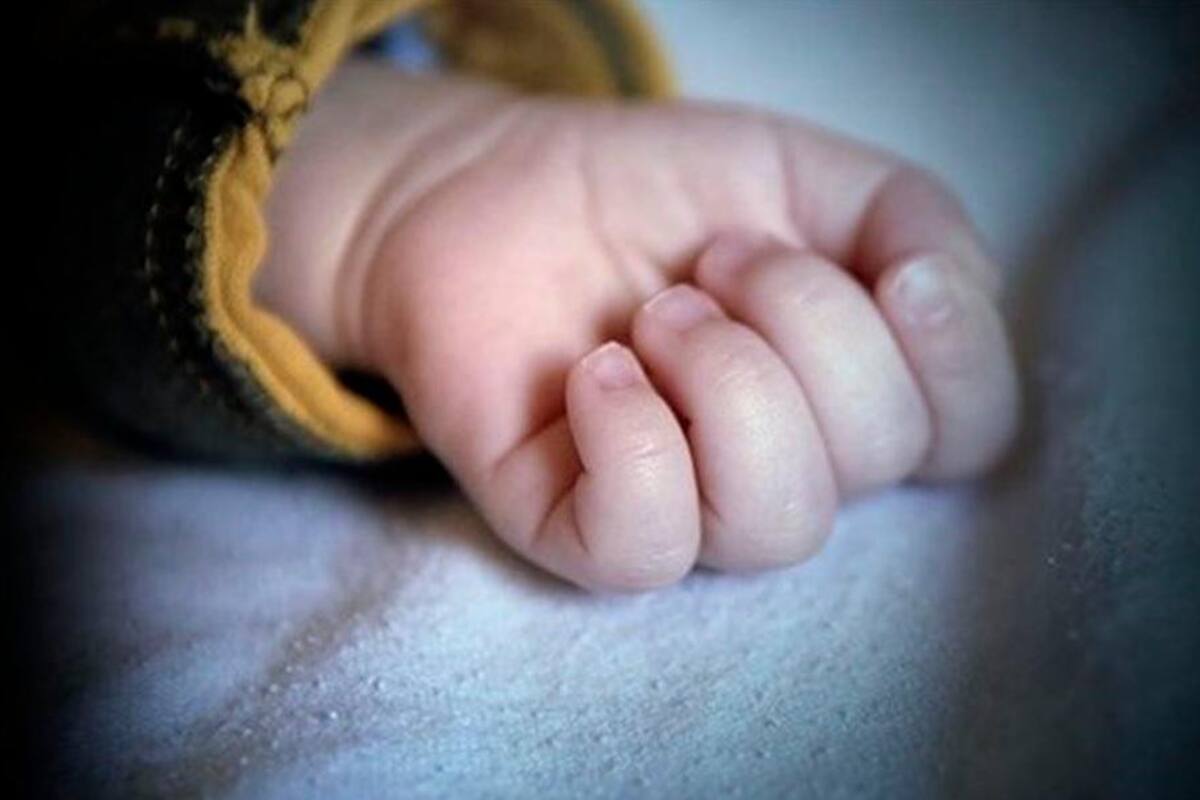 Niño de 3 años cae del piso 9 y muere: padres estaban paseando al perro