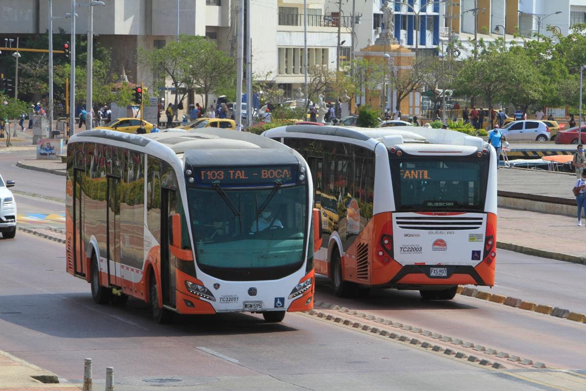 Opciones de Dau “exponen a Transcaribe a una parálisis”