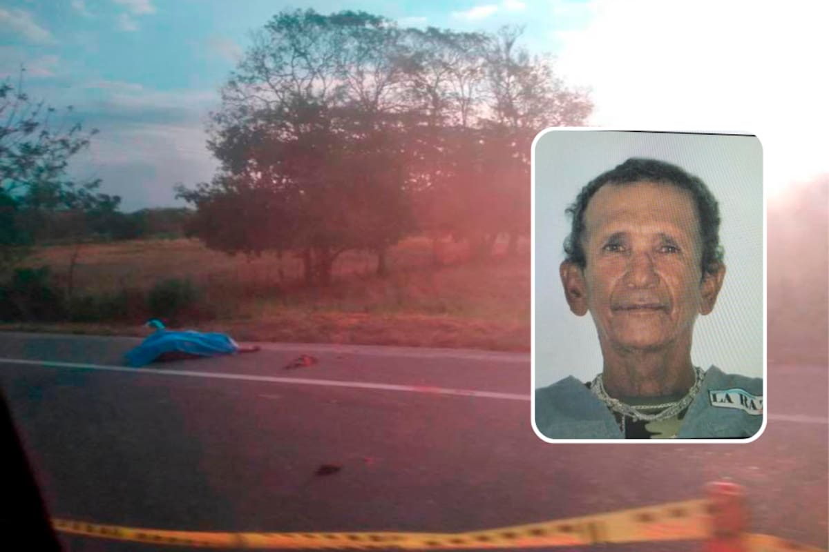 ¡Terrible! Salió de centro de rehabilitación y un carro lo arrolló y lo mató