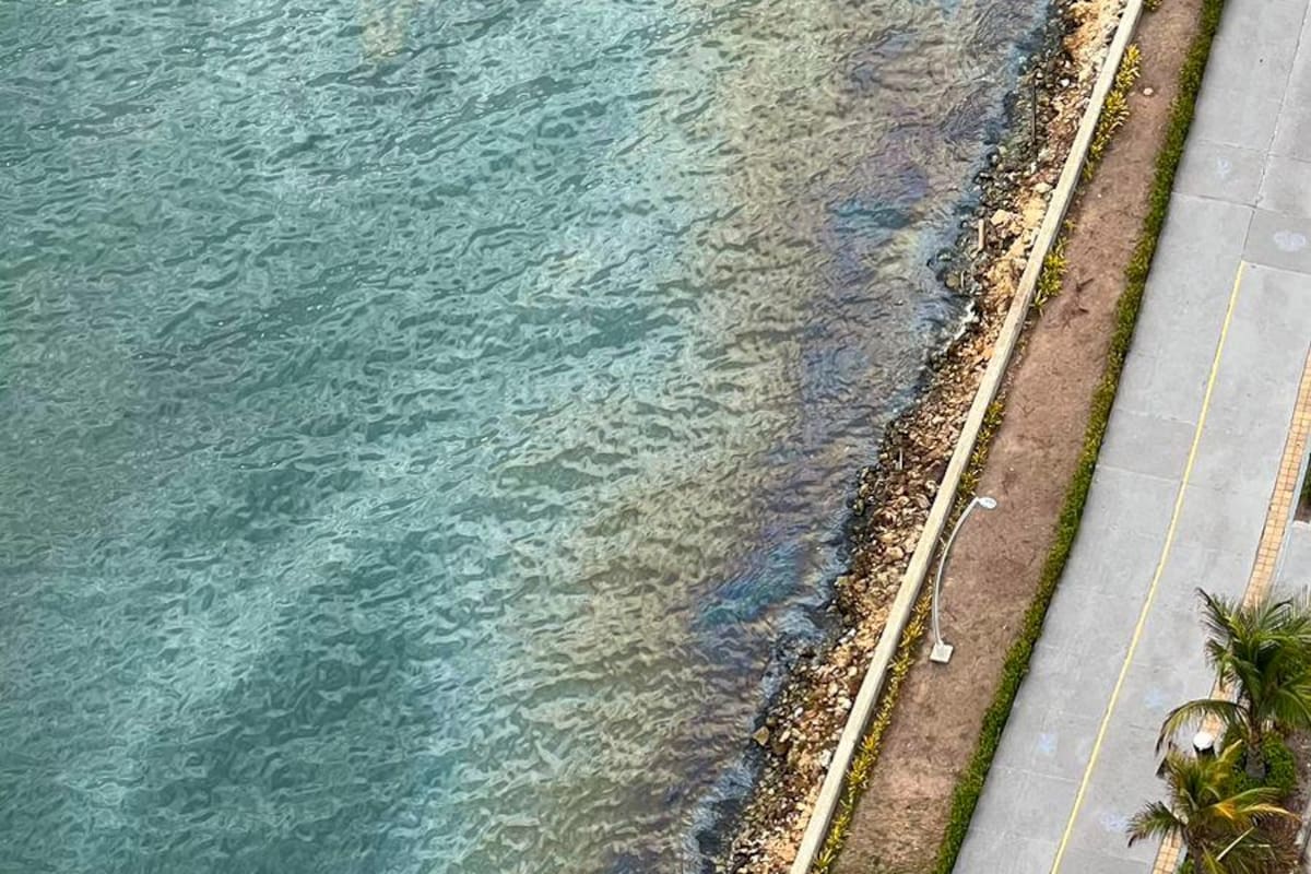 Video: reportan mancha oleosa en la bahía de Cartagena