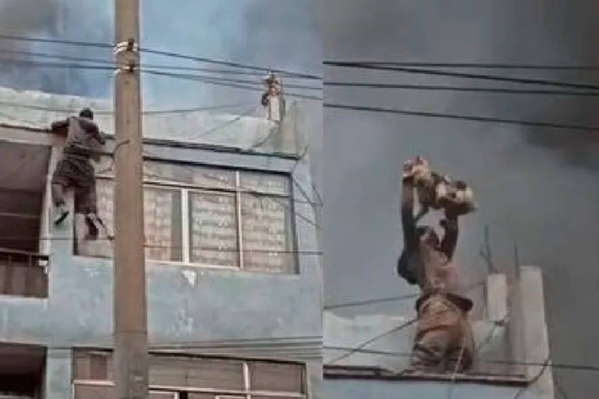 Asombroso video: Colombiano salvó a 25 perros en medio de un incendio