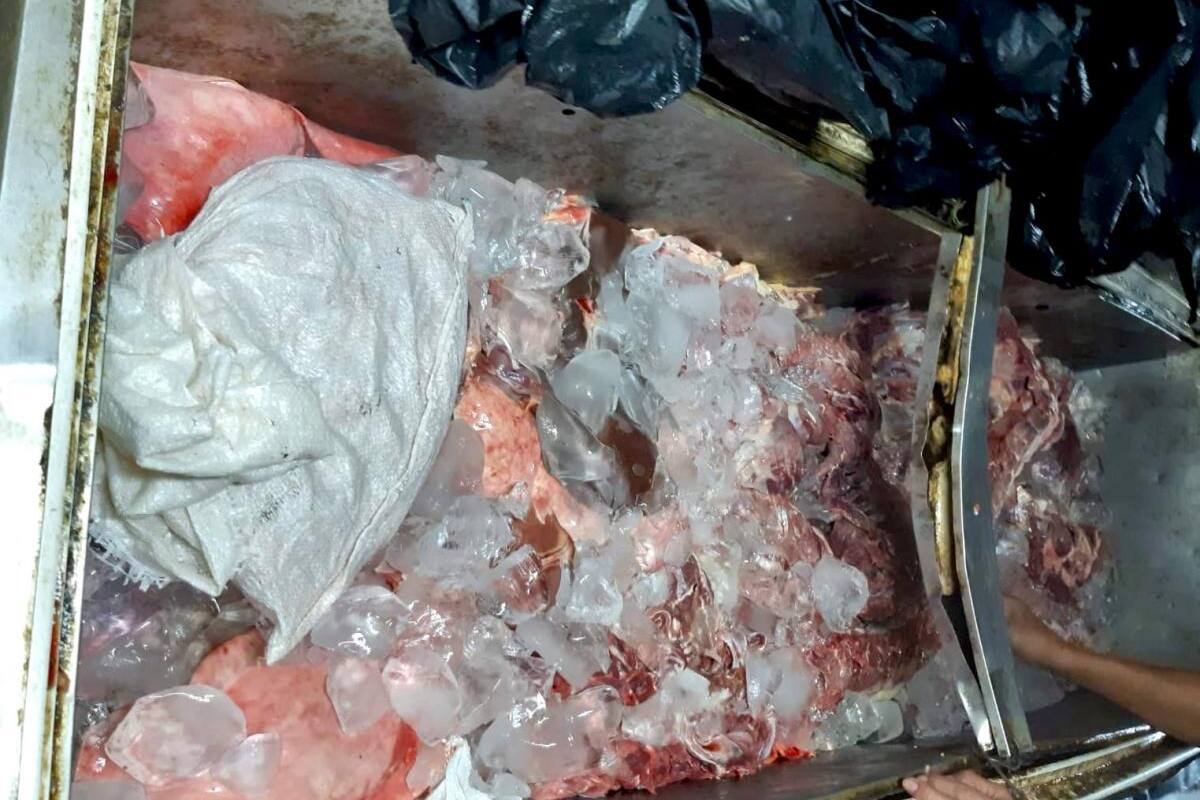 Lo capturan por maltrato animal y corrupción de alimentos