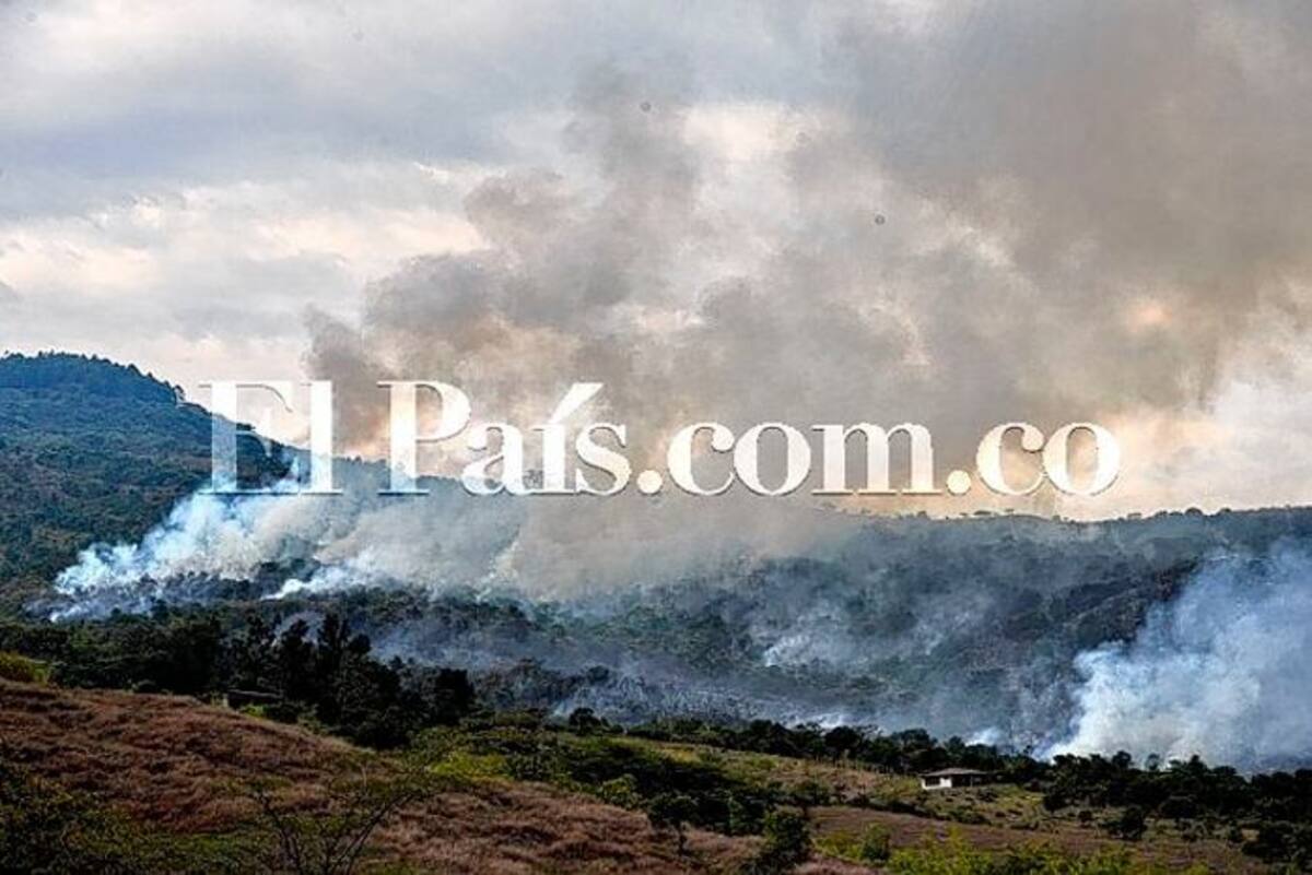 COLPRENSA