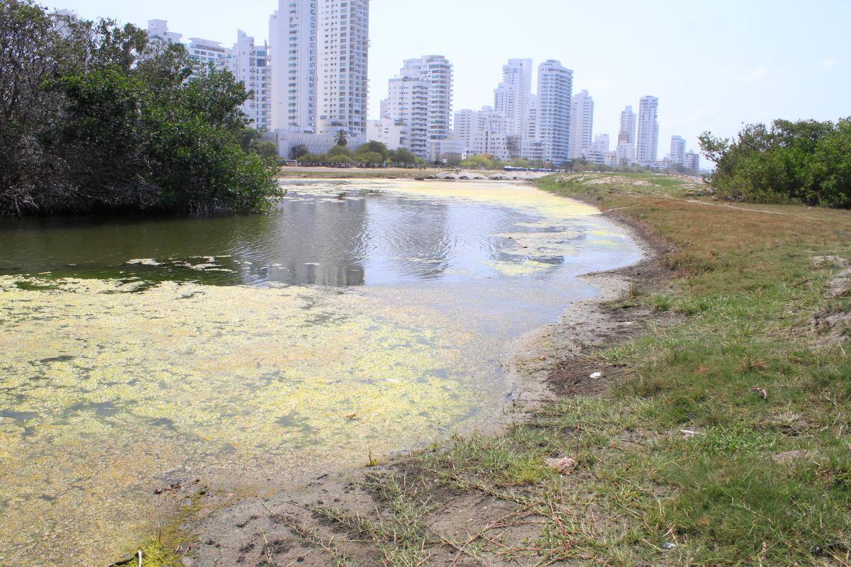 El Laguito agoniza y autoridades no avanzan con la bomba axial