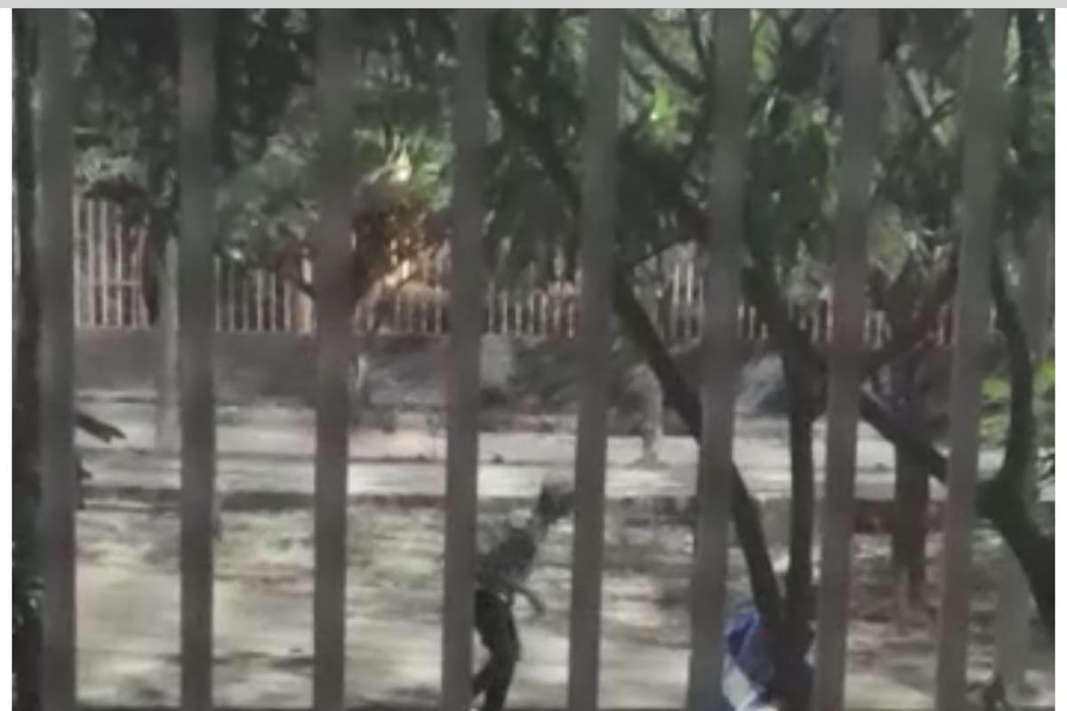Joven de 19 años murió durante enfrentamiento de pandillas: uno está herido