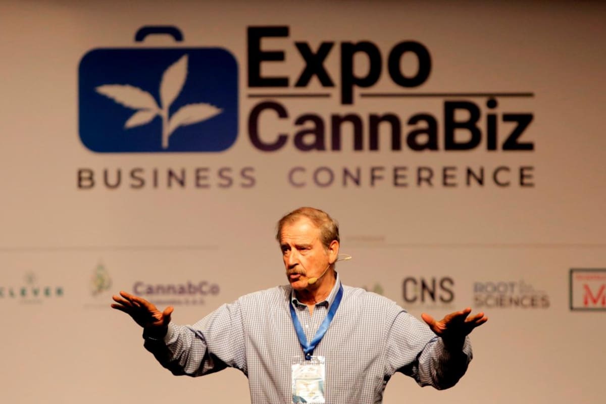 Al cannabis hay que sacarlo de la ilegalidad: Vicente Fox