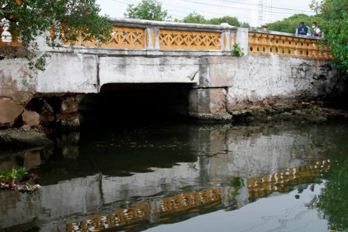 Puente Las Palmas será demolido, pero antes habrá una solución temporal