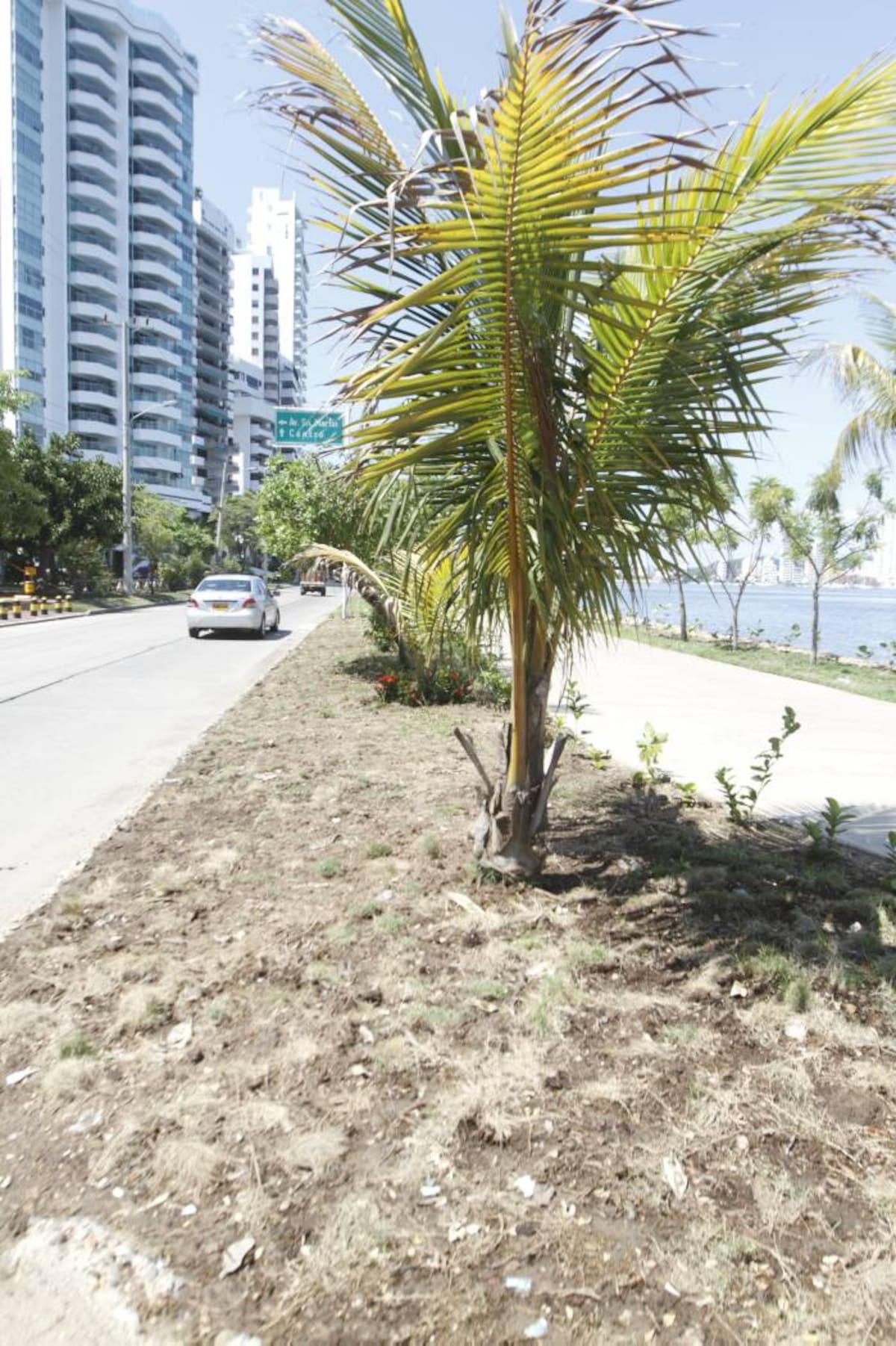 JULIO CASTAÑO-EL UNIVERSAL