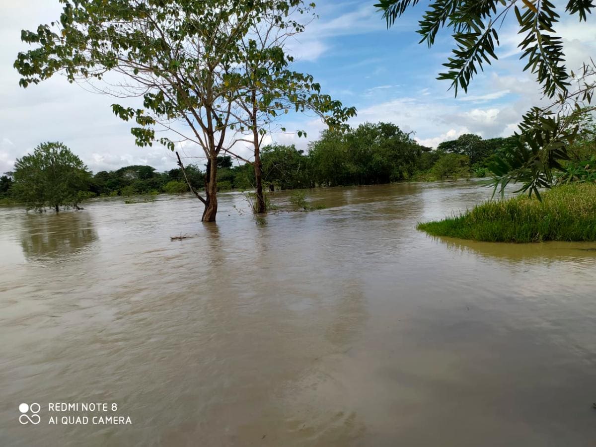 El choro de ‘Cara e’Gato’ sigue inundando a La Mojana. // ARCHIVO