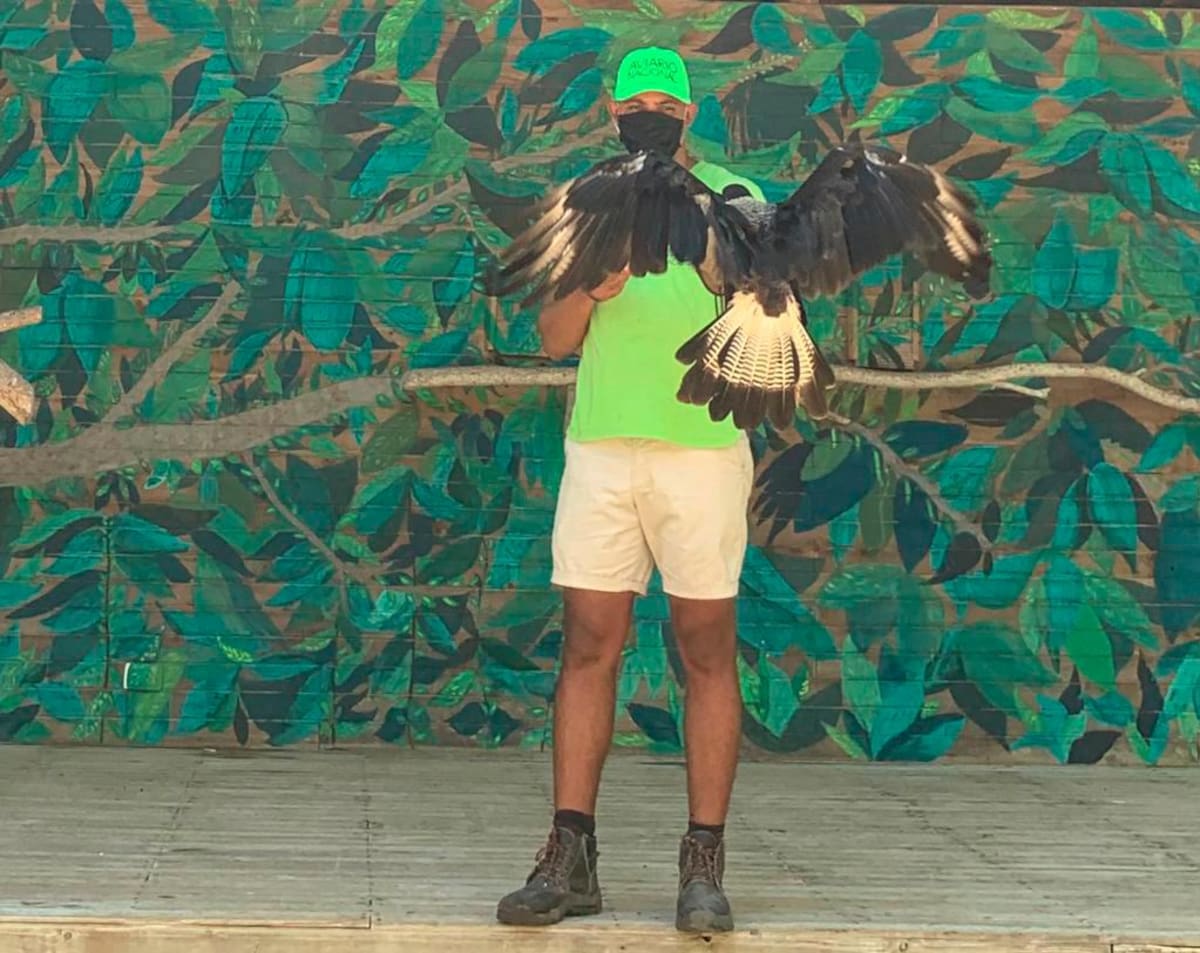 Son 1.700 aves las que habitan el aviario.//Fotos: Cortesía.