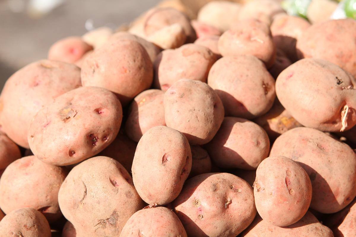 Alimentos tienen a la canasta familiar por las nubes