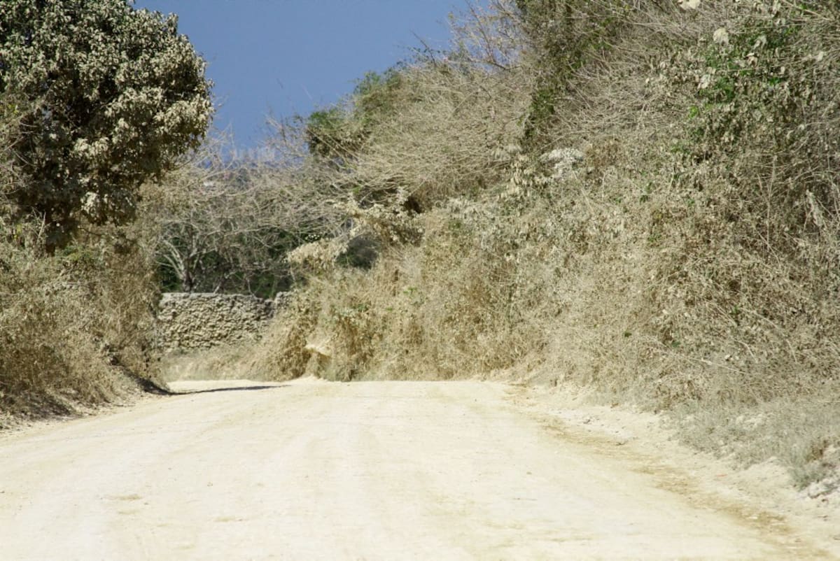 Este es el paisaje que se puede apreciar a diario en la principal vía de acceso de Aguas Prietas Victor Hugo Mora Mendoza