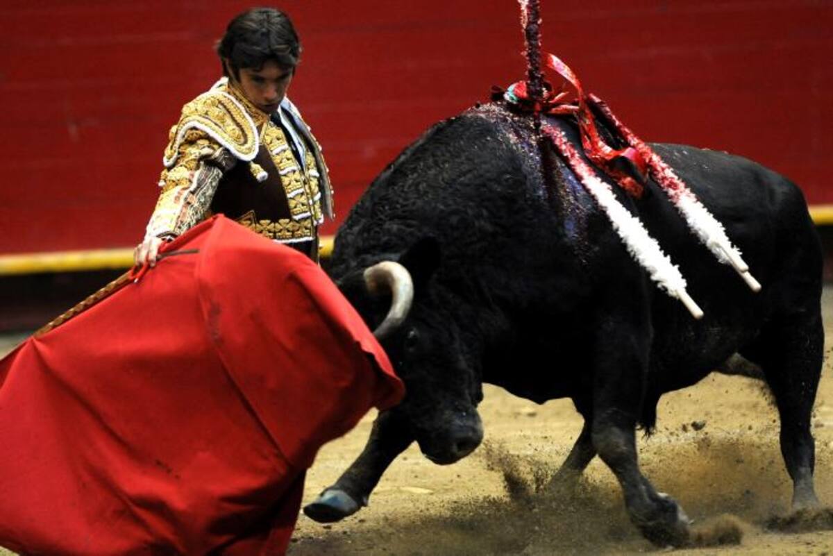 Sebastián Castella, estilo y temple. AFP