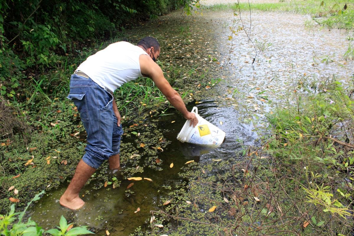 A este humedal le llaman “La represa”, pero cada vez menos genera agua para la planta de tratamiento.