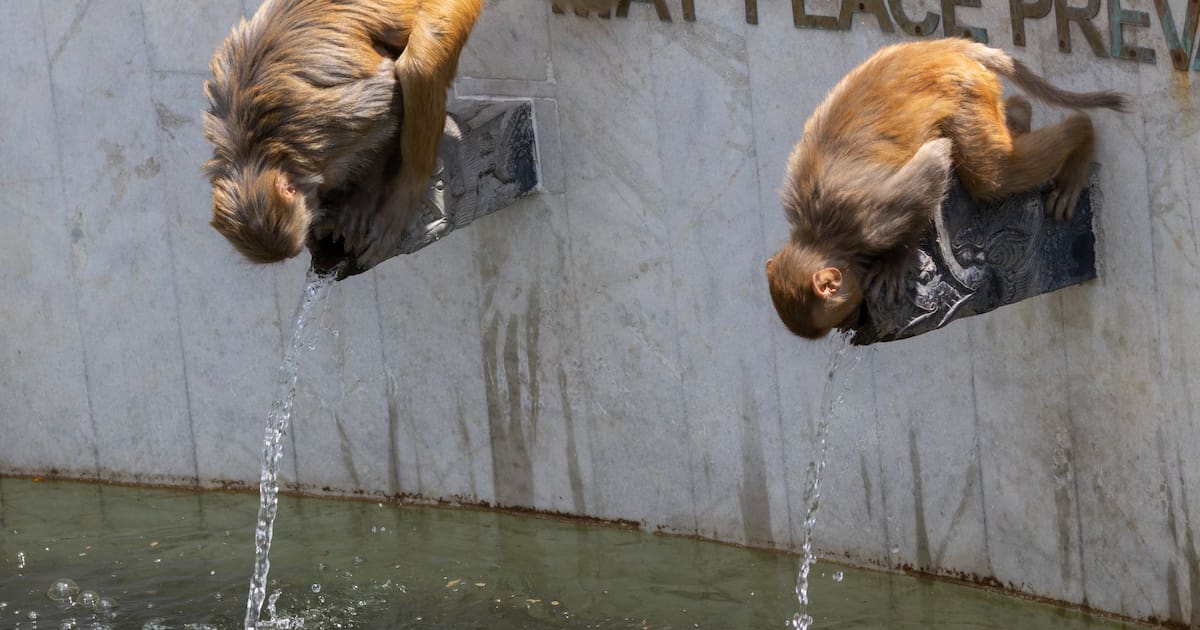 Foto del Día: martes 9 de junio de 2026