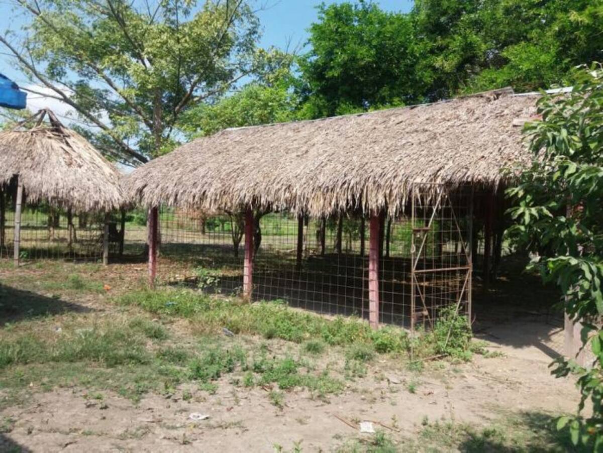 Estos kioscos son los que deben demolerse para la construcción de aulas o albergues temporales, para que los estudiantes reciban sus clases en mejores condiciones, mientras concluyen las obras a su escuela. Cortesía
