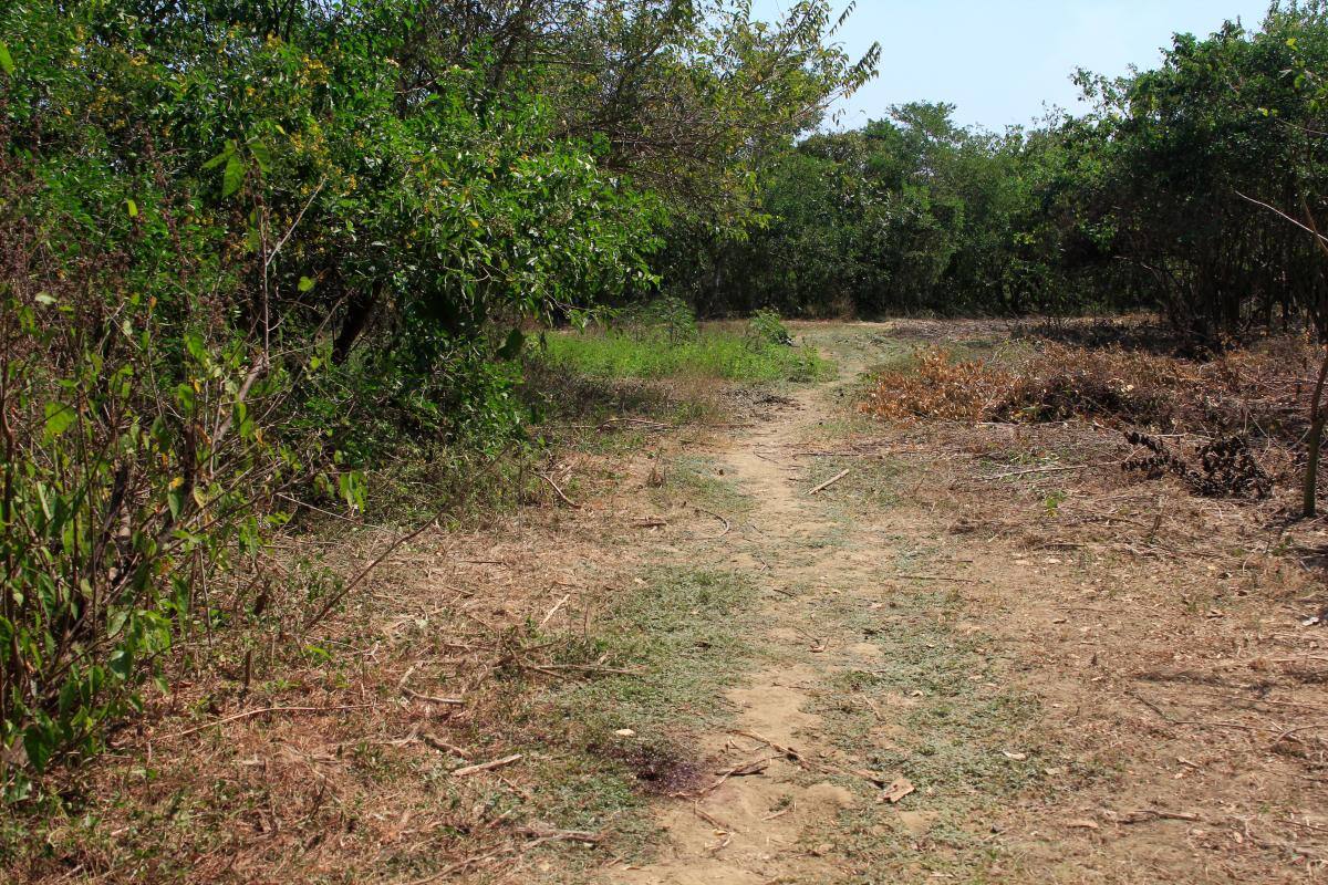 “Ella no merecía morir así”: tía de la menor torturada