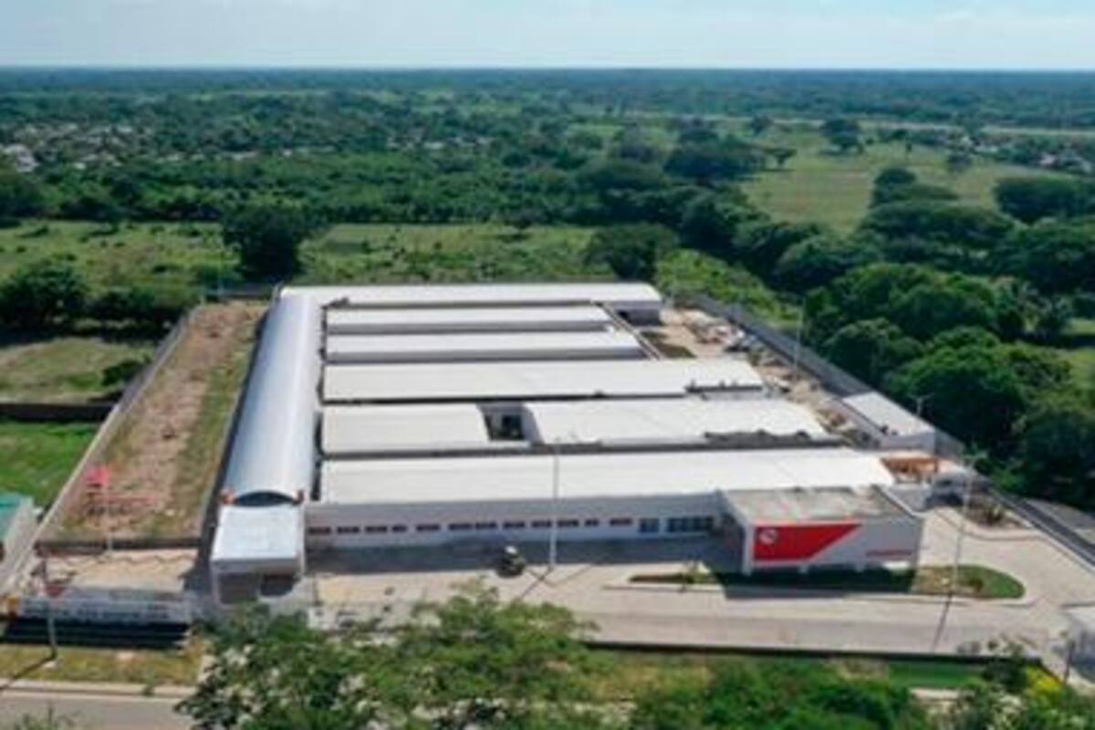 Conozca quién ganó el ‘Arquitecto del Año 2020’