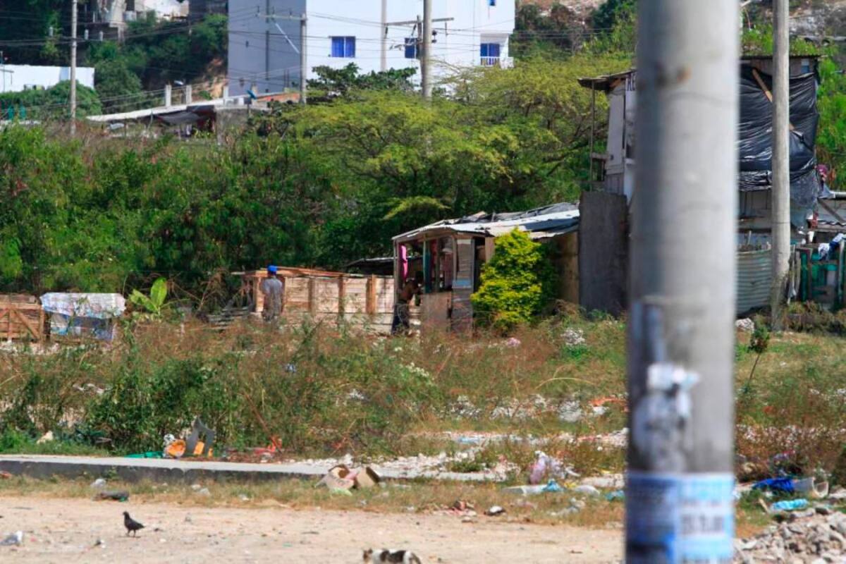“Es aberrante cómo Cartagena está llena de invasiones”: Liliana Suárez