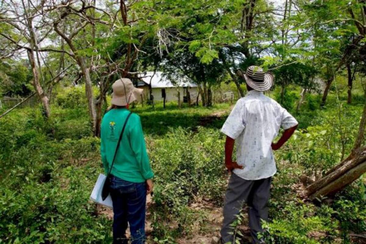 En el sur de Bolívar no han podido continuar con la evaluación de los 1.153 requerimientos, que, según la URT, hasta el 15 de junio de 2018 estaban pendientes en 13 municipios de esta zona.