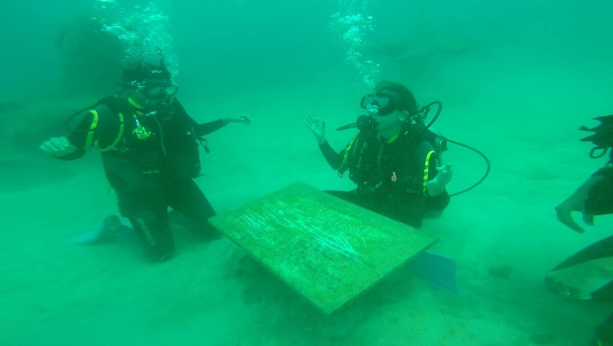 En el sector conocido como “Ciénaga de los Vásquez”, está sumergida la primera obra del Museo del Mar denominada 'Jardín de Medusas'. EL UNIVERSAL