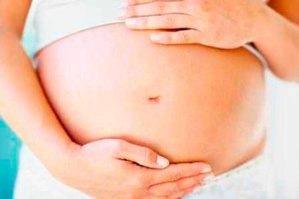 El papa cargó contra “la práctica inhumana” de los vientres de alquiler