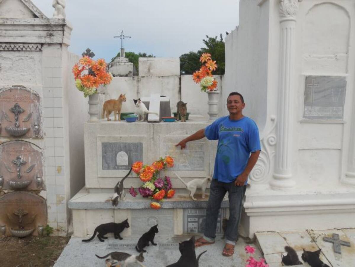 Tarcisio Martínez Peña, celador del Cementerio de Mompox y guardián de medio centenar de gatos que han nacido junto a la tumba de Alfredo Serrano Rubio. Gustavo Tatis-El Universal