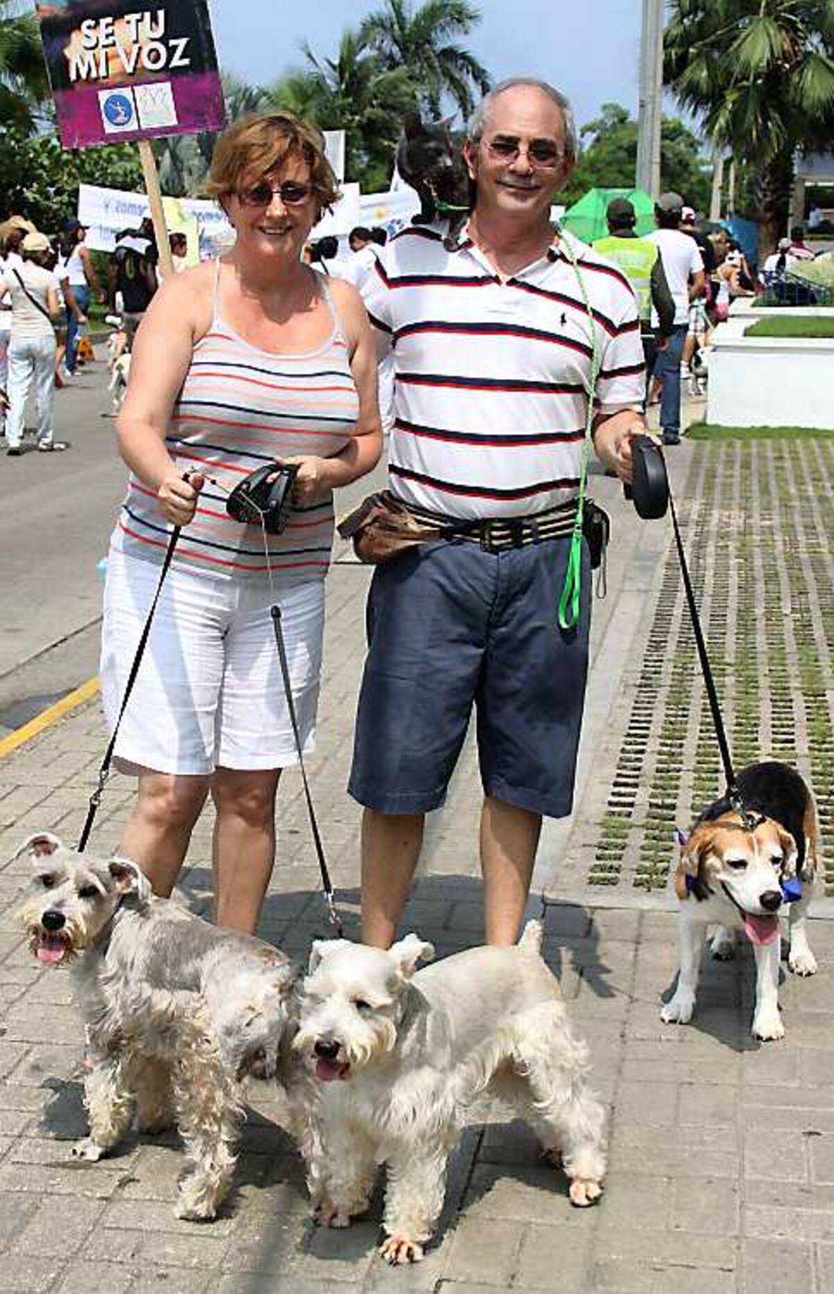 Soledad y Rafael Román, acompañados por sus mascotas Simón, Roco, Frey y su gato Parcial.