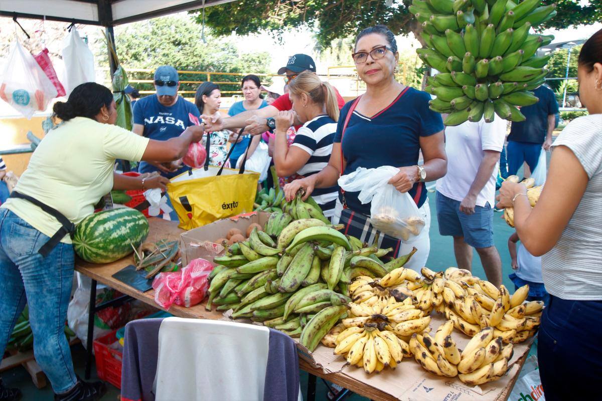 ¡Agéndate! Mercados campesinos este fin de semana en Cartagena