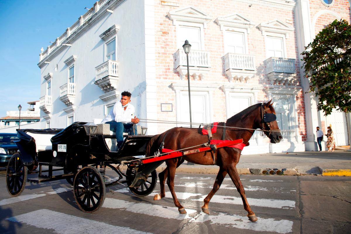 ¿Se acabarán los coches a caballo? Acercamiento entre Dumek y cocheros