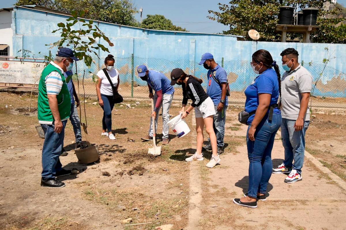 La recuperación del parque Los Luceros, que es de 1.800 metros cuadrados, se hizo de manera articulada con diferentes dependencias del Distrito de Cartagena.