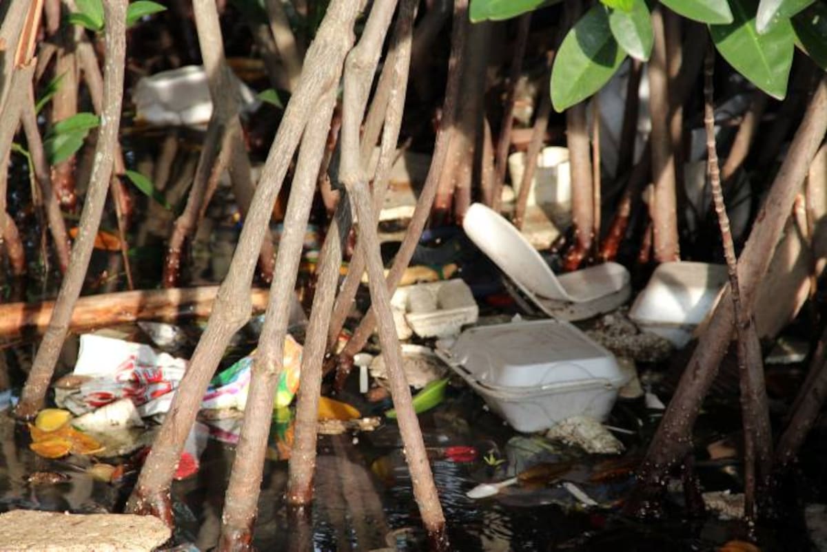 La falta de conciencia ambiental lleva a que se arroje todo tipo de desperdicios en ellos. DANIELA BUELVAS - EL UNIVERSAL