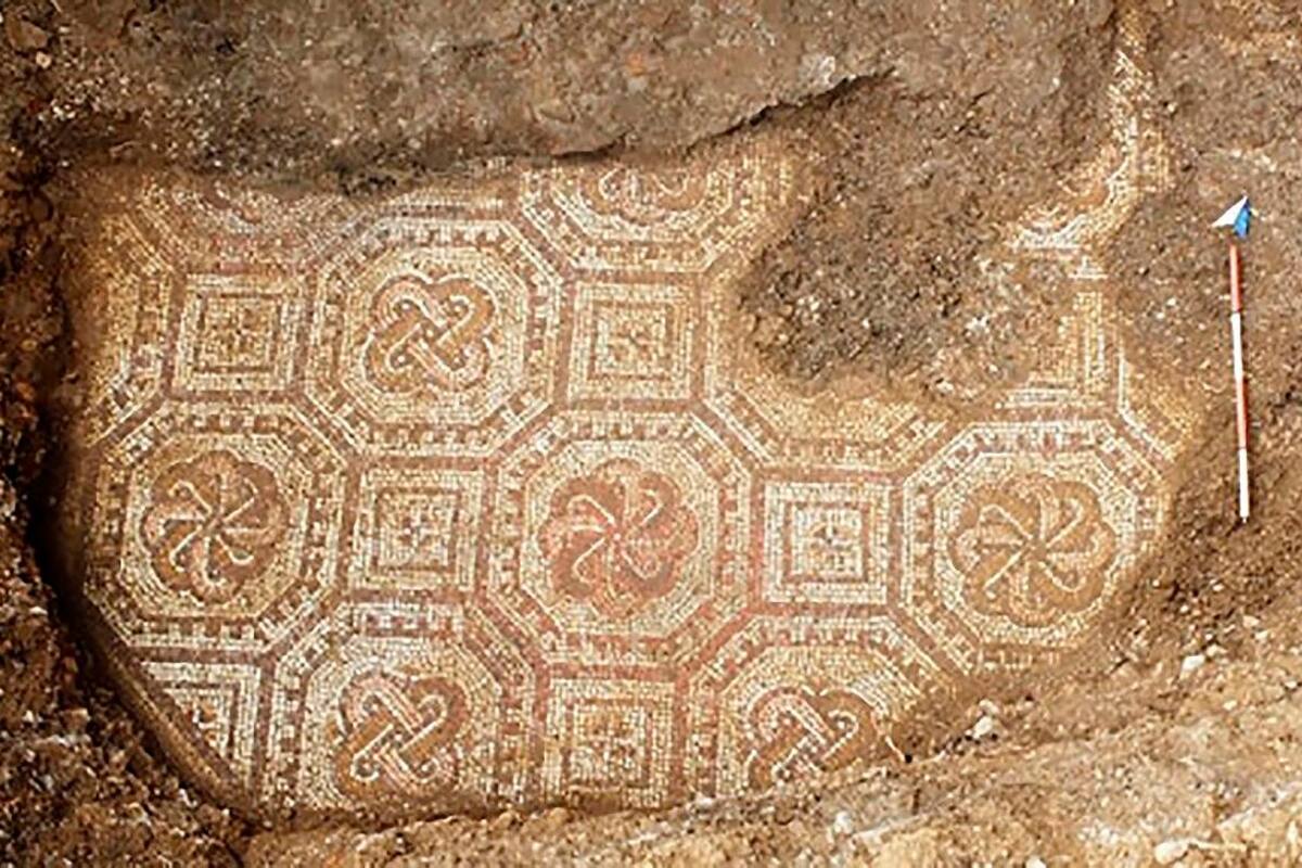 Sale a la luz un rico mosaico romano bajo unos viñedos en Italia