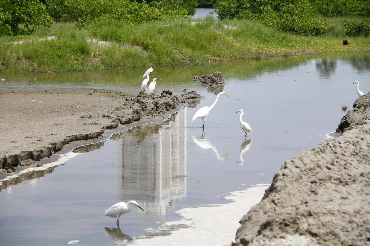 En El Laguito la vida continúa y los vecinos no se detienen