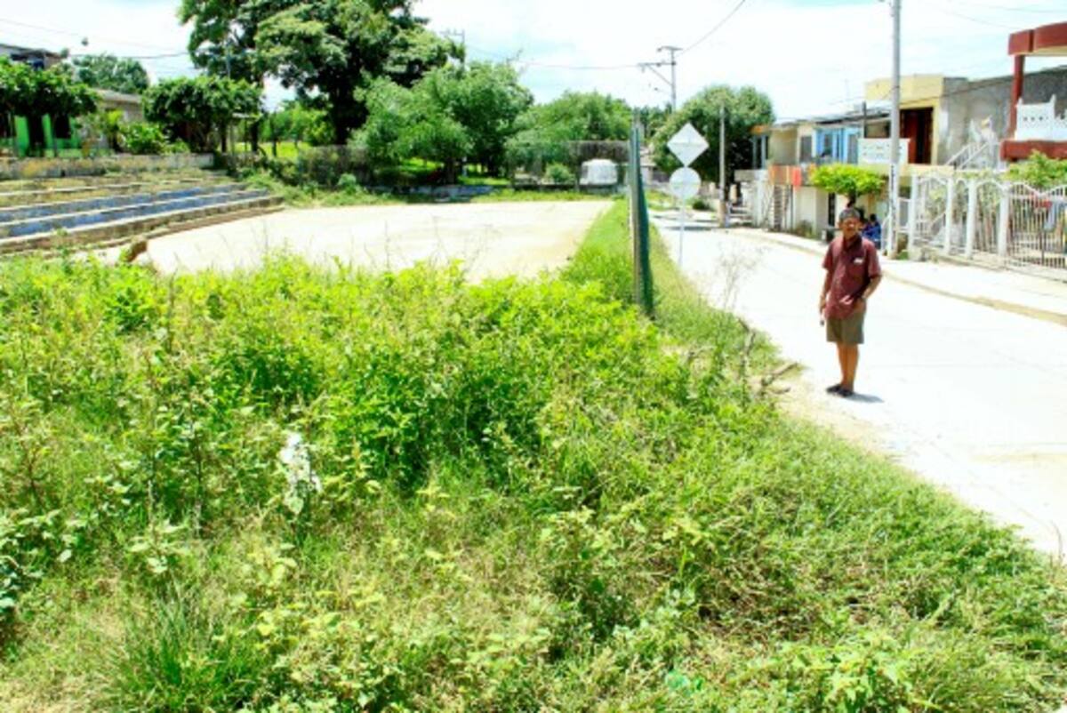 Los lotes abandonados son otro dolor de cabeza