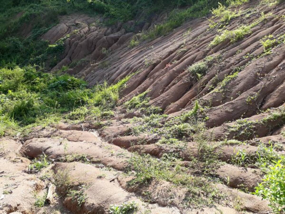 La obra quedó en el olvido y las ganas de tener agua potable nunca ha sido posible para los habitantes. Cortesía