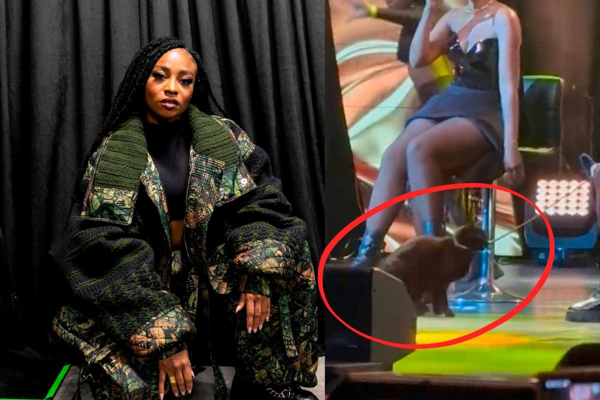 ¿Maltrato animal? Critican a Goyo por subir a gato a escenario