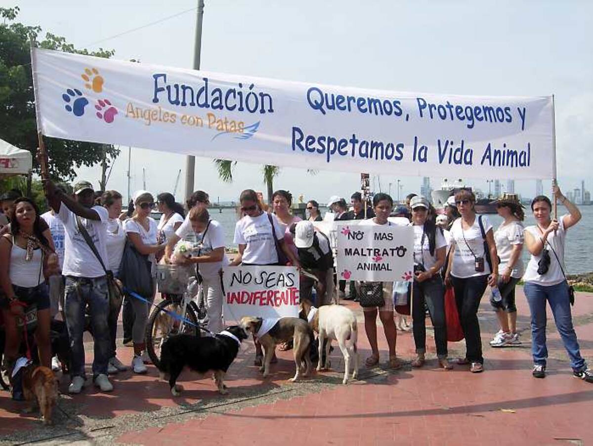 Fundaciones protectoras de animales se unieron por una misma causa, la protección de los animales.