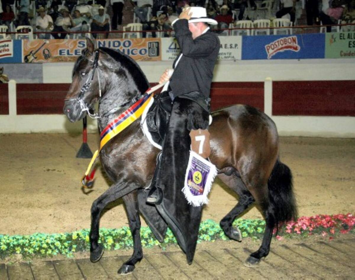 Gran Campeón Reservado “Sortilegio de la Alquería”, montador Alejandro Ochoa.