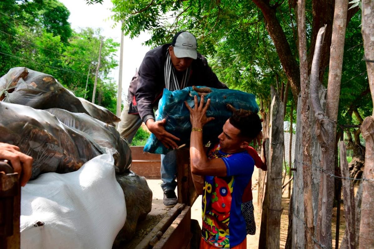 24 toneladas de productos agrícolas para repartir entre familias de Cartagena y Bolívar.