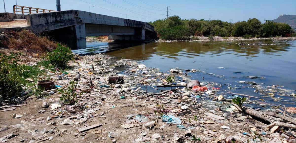 Aspectos de la fuerte contaminación que ya empieza a crecer en la ciénaga de la Virgen.