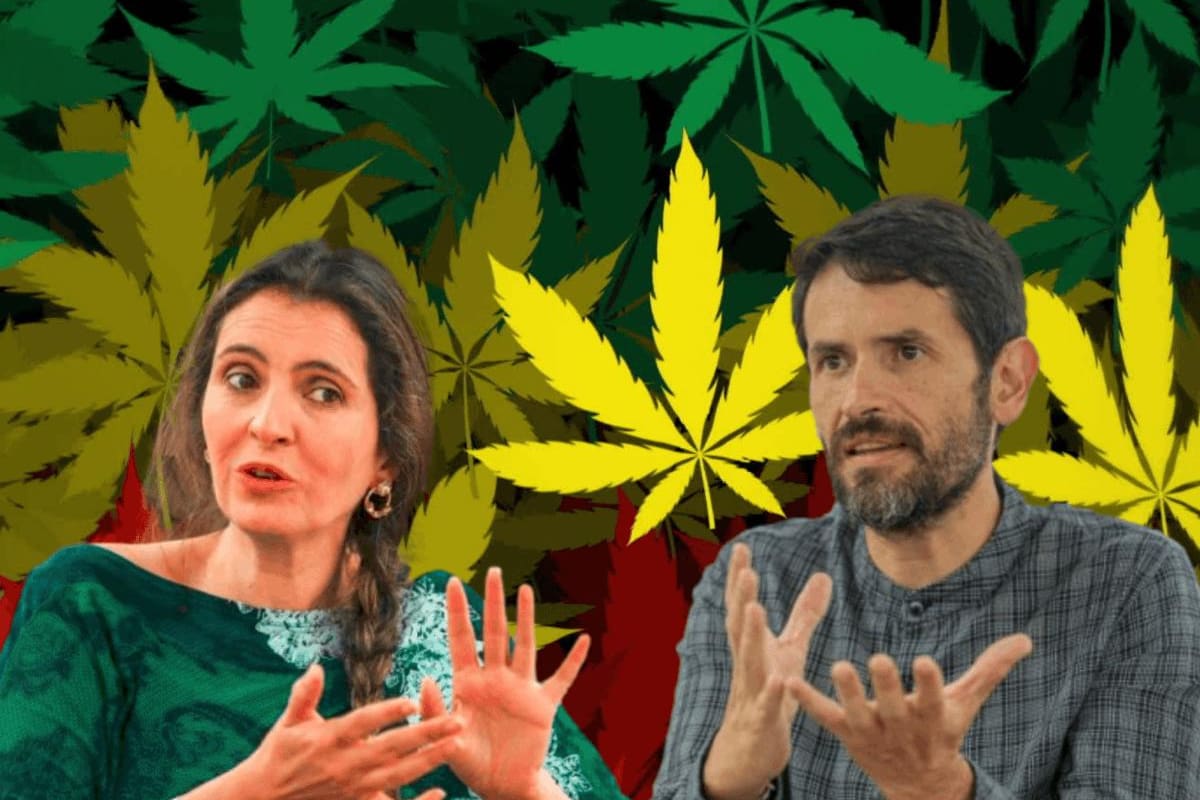 Uso de la marihuana, a punto de ser ley: pros, contras y cómo sería