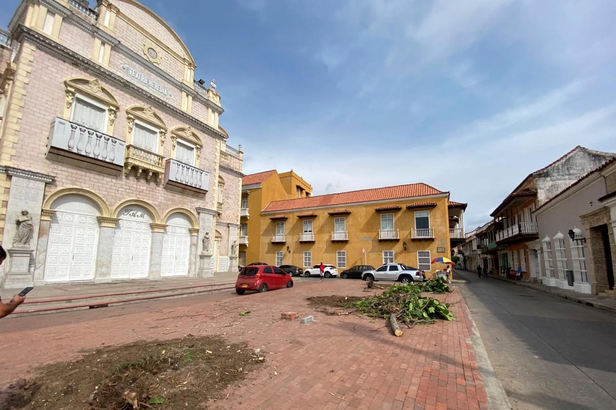 Polémica por tala de árboles en el Centro Histórico, ¿qué les pasó?