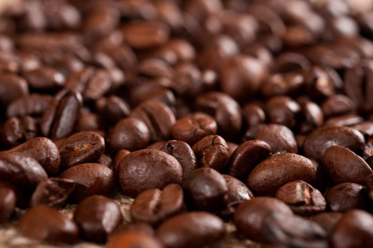 Una producción sustentable: conoce el primer café sin grano del mundo