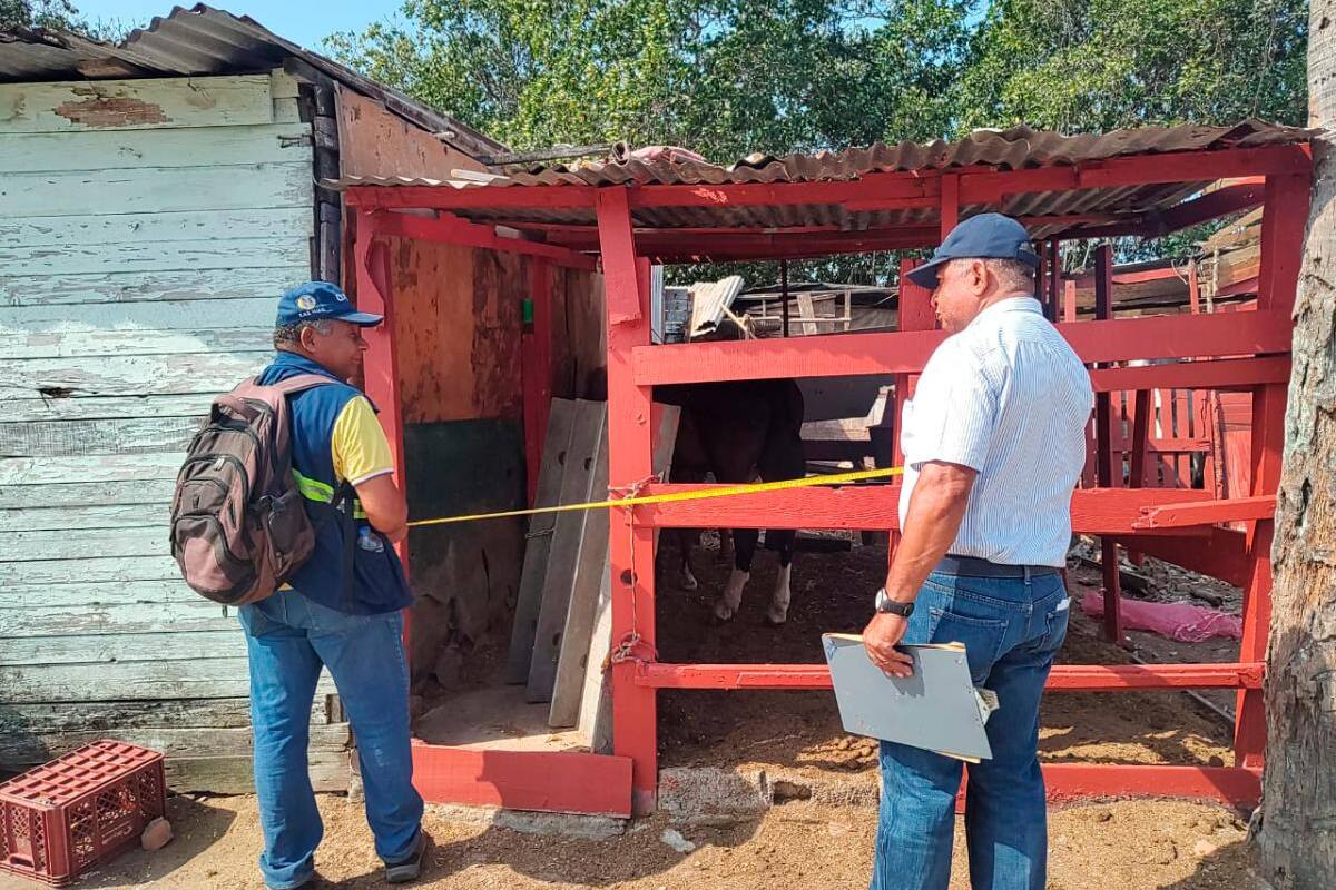 Dadis verificó las condiciones de lugares de descanso de caballos cocheros