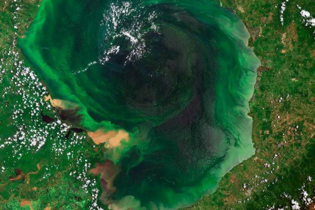 Los colores del lago de Maracaibo esconden una realidad turbia