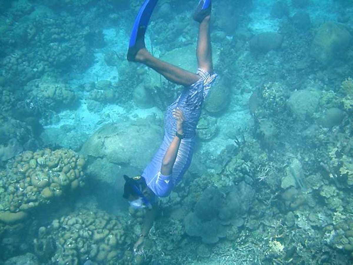 La campaña busca acercar al cartageneros a sus bellezas naturales. Cortesía